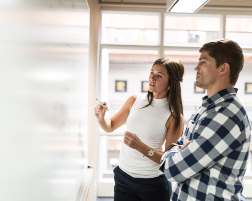 young-professionals-at-whiteboard_t20_XzLb2r